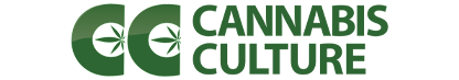 cannabis-culture